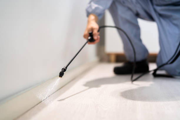 Licensed Fumigation Services service in Corrigan, TX - Nex Pest Control