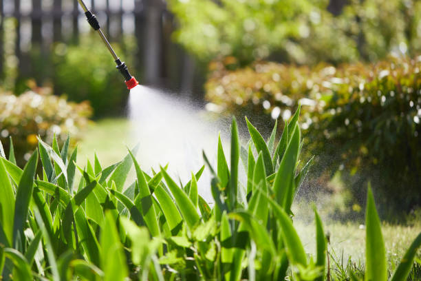 24/7 Emergency Fumigation Services experts in Corrigan, TX