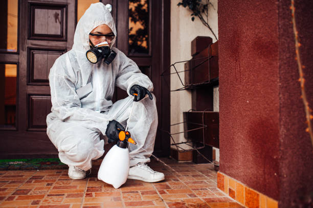Reliable Fumigation Services contractor in Corrigan, TX by Nex Pest Control