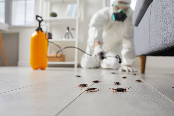 Trusted Fumigation Services service in Corrigan, TX - Nex Pest Control