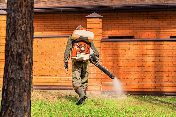 Trusted Emergency Pest Control service in Corrigan, TX - Nex Pest Control